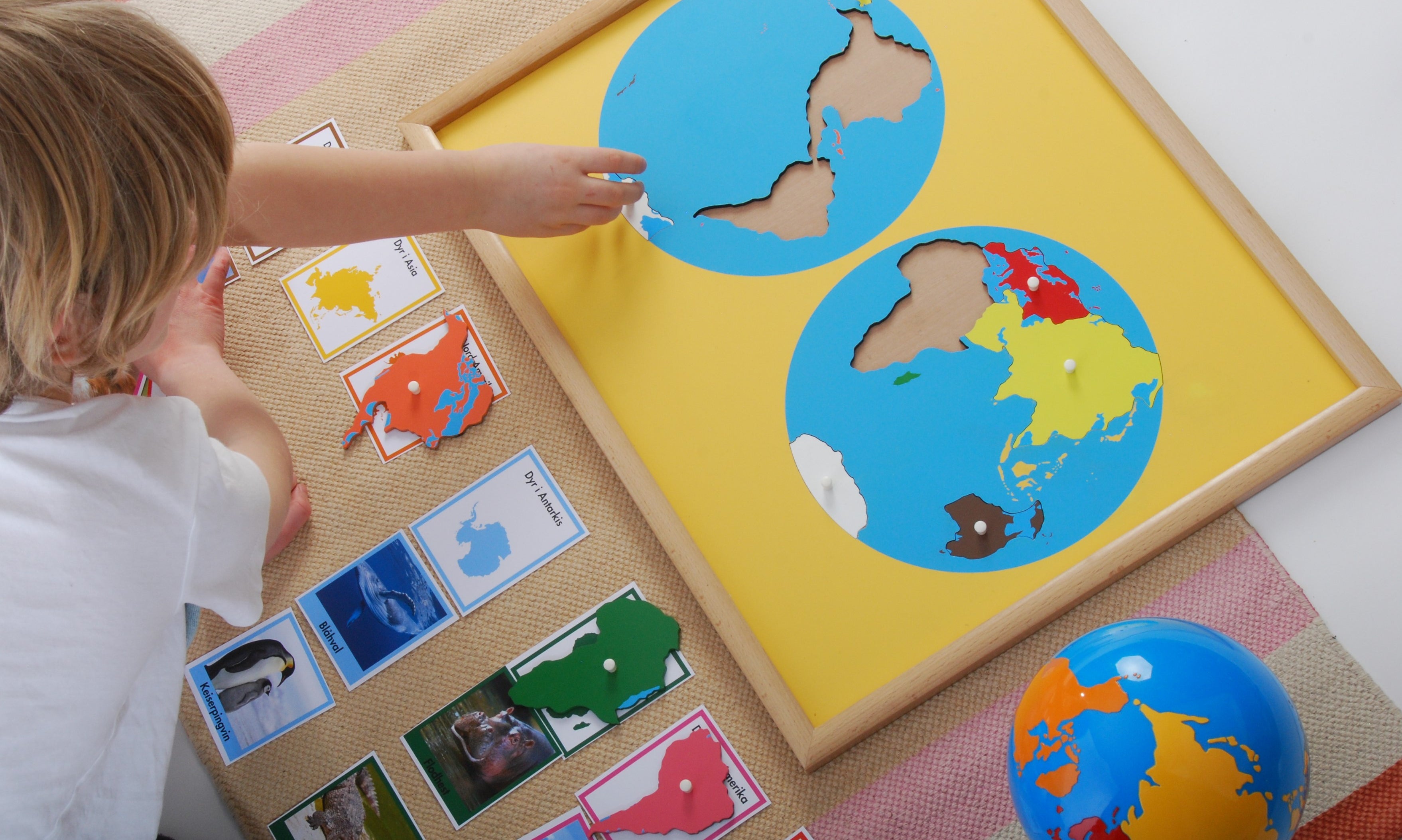 Montessori læringsmateriell | Natur og geografi