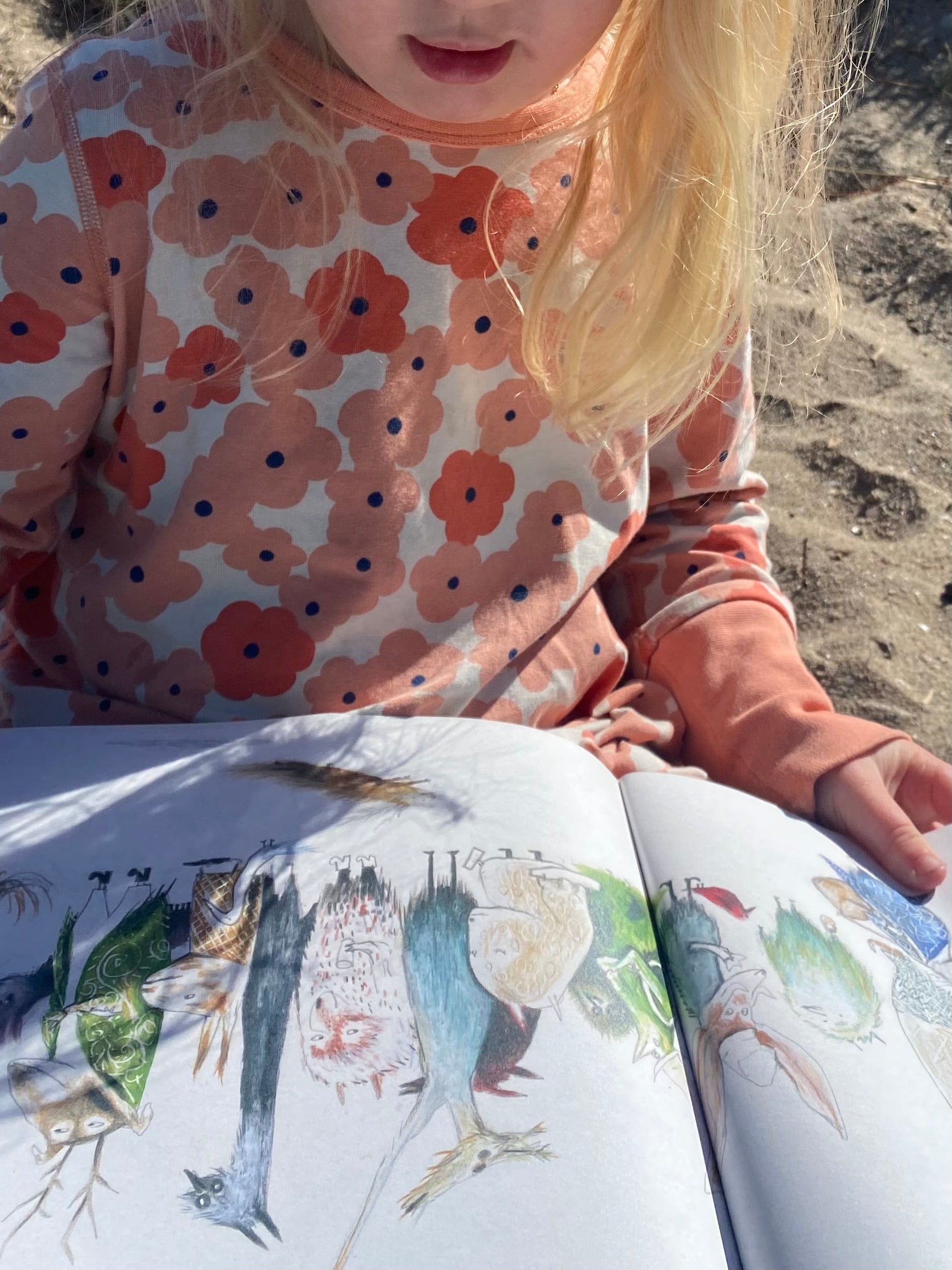 Montessoris tankegang rundt barnebøker.