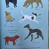 Charles Darwin’s Om Artenes Opprinnelse | 4 - 9 år